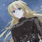 アージュメモリアルバンドル