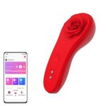 FUN TOWN Caleo ［ファン タウン カレオ］