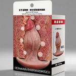 【爆拡張感 Dick Plug】M Size（DP-102）