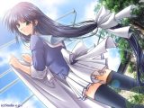 【まとめ買い】10本選んで10，000円！でぼの巣製作所 2026年初夏まとめ買い
