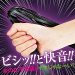 快感ウィップ ロング（p-438）