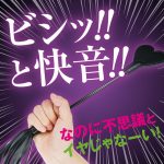 快感ウィップ 2WAYハート鞭（p-439）
